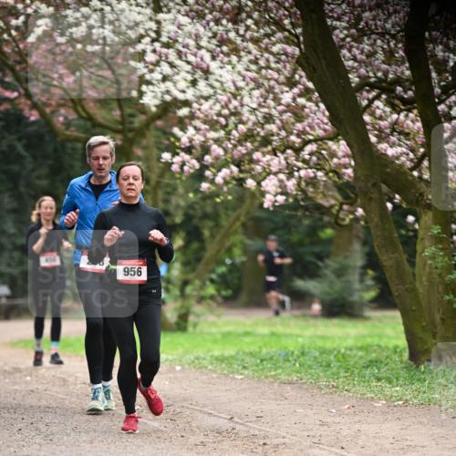 13.04.2025 - Hammer Lauf Dr. Thomas Lammeyer http://msf.ph/oto/7641539 13.04.2025 10:10:28 Laufen 454, 956 meine-sportfotos.de