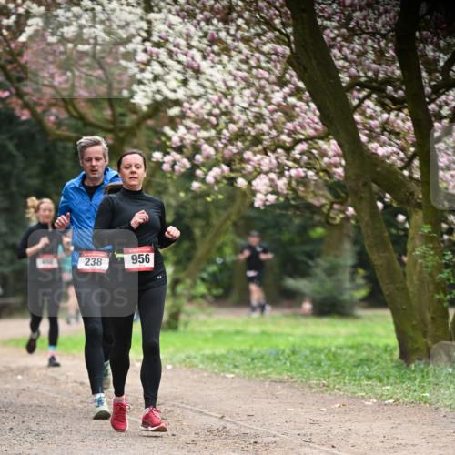 13.04.2025 - Hammer Lauf Dr. Thomas Lammeyer http://msf.ph/oto/7641544 13.04.2025 10:10:28 Laufen 238, 956 meine-sportfotos.de