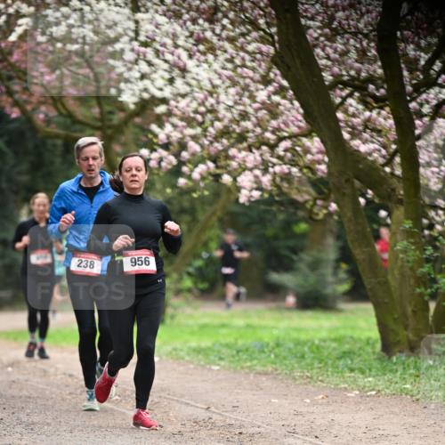 13.04.2025 - Hammer Lauf Dr. Thomas Lammeyer http://msf.ph/oto/7641546 13.04.2025 10:10:28 Laufen 238, 956 meine-sportfotos.de