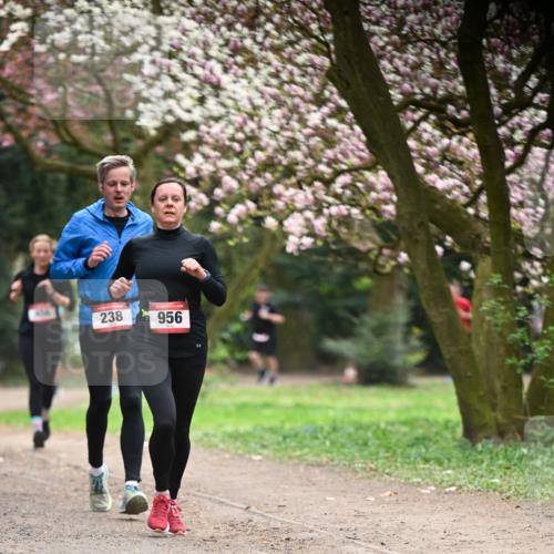 13.04.2025 - Hammer Lauf Dr. Thomas Lammeyer http://msf.ph/oto/7641549 13.04.2025 10:10:28 Laufen 238, 956 meine-sportfotos.de