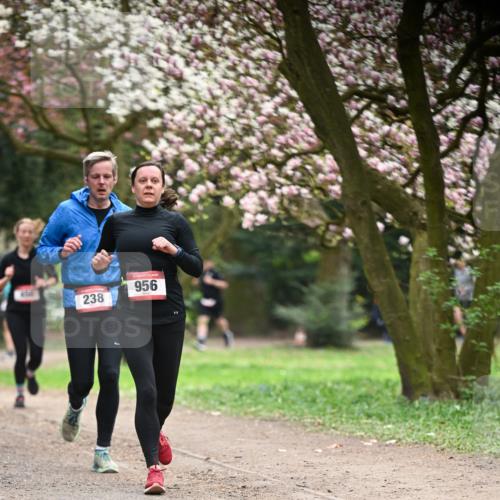 13.04.2025 - Hammer Lauf Dr. Thomas Lammeyer http://msf.ph/oto/7641551 13.04.2025 10:10:28 Laufen 956, 238 meine-sportfotos.de