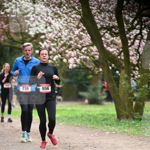 13.04.2025 - Hammer Lauf Dr. Thomas Lammeyer http://msf.ph/oto/7641554 13.04.2025 10:10:28 Laufen 238, 956 meine-sportfotos.de