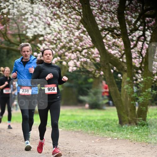13.04.2025 - Hammer Lauf Dr. Thomas Lammeyer http://msf.ph/oto/7641557 13.04.2025 10:10:29 Laufen 238, 956 meine-sportfotos.de