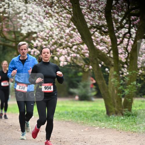 13.04.2025 - Hammer Lauf Dr. Thomas Lammeyer http://msf.ph/oto/7641560 13.04.2025 10:10:29 Laufen 238, 956 meine-sportfotos.de
