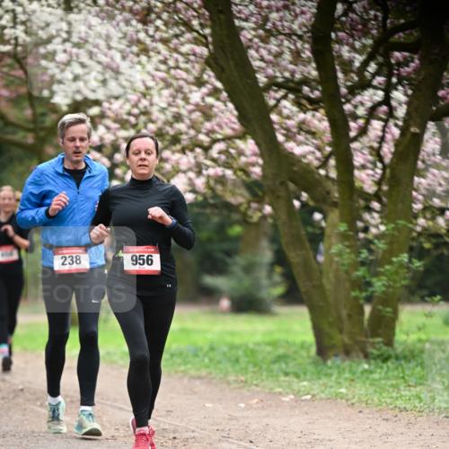 13.04.2025 - Hammer Lauf Dr. Thomas Lammeyer http://msf.ph/oto/7641563 13.04.2025 10:10:29 Laufen 238, 15, 956 meine-sportfotos.de