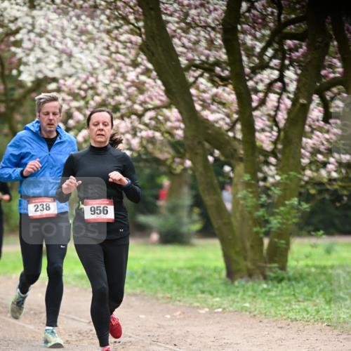 13.04.2025 - Hammer Lauf Dr. Thomas Lammeyer http://msf.ph/oto/7641566 13.04.2025 10:10:29 Laufen 238, 956 meine-sportfotos.de