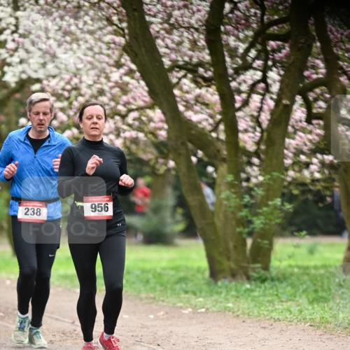 13.04.2025 - Hammer Lauf Dr. Thomas Lammeyer http://msf.ph/oto/7641571 13.04.2025 10:10:29 Laufen 238, 15, 956 meine-sportfotos.de