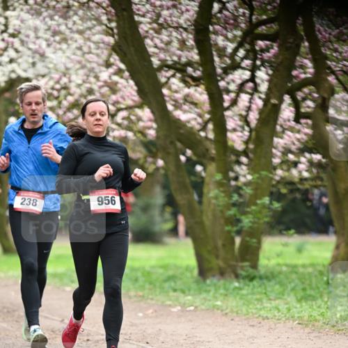 13.04.2025 - Hammer Lauf Dr. Thomas Lammeyer http://msf.ph/oto/7641574 13.04.2025 10:10:29 Laufen 238, 15, 956 meine-sportfotos.de