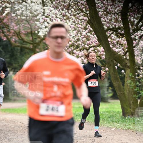 13.04.2025 - Hammer Lauf Dr. Thomas Lammeyer http://msf.ph/oto/7641611 13.04.2025 10:10:32 Laufen 246, 450 meine-sportfotos.de