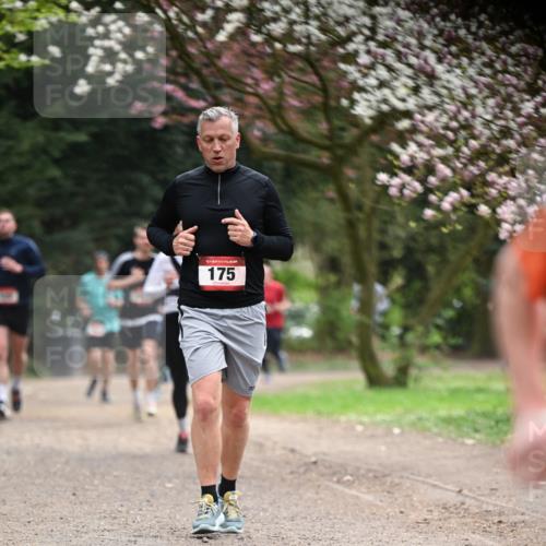13.04.2025 - Hammer Lauf Dr. Thomas Lammeyer http://msf.ph/oto/7641619 13.04.2025 10:10:33 Laufen 175 meine-sportfotos.de