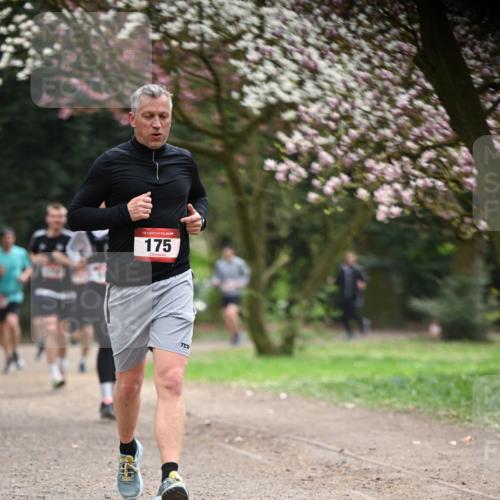 13.04.2025 - Hammer Lauf Dr. Thomas Lammeyer http://msf.ph/oto/7641628 13.04.2025 10:10:33 Laufen 15, 175 meine-sportfotos.de