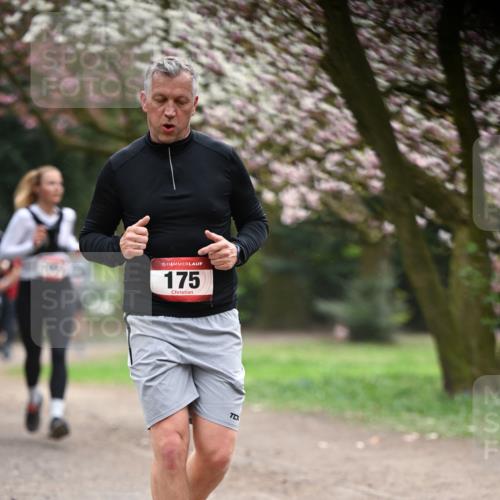 13.04.2025 - Hammer Lauf Dr. Thomas Lammeyer http://msf.ph/oto/7641658 13.04.2025 10:10:34 Laufen 15, 175 meine-sportfotos.de