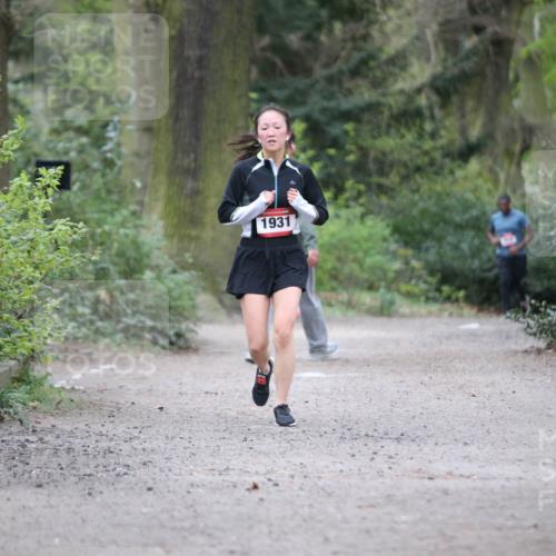 13.04.2025 - Hammer Lauf Jannik Wohlers http://msf.ph/oto/7641659 13.04.2025 12:05:02 Laufen 1931 meine-sportfotos.de