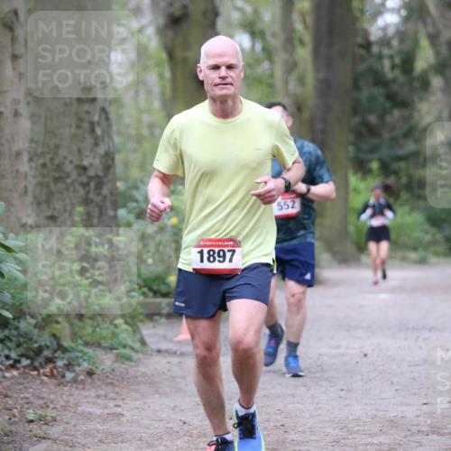 13.04.2025 - Hammer Lauf Jannik Wohlers http://msf.ph/oto/7641676 13.04.2025 12:04:57 Laufen 15, 1897, 552 meine-sportfotos.de