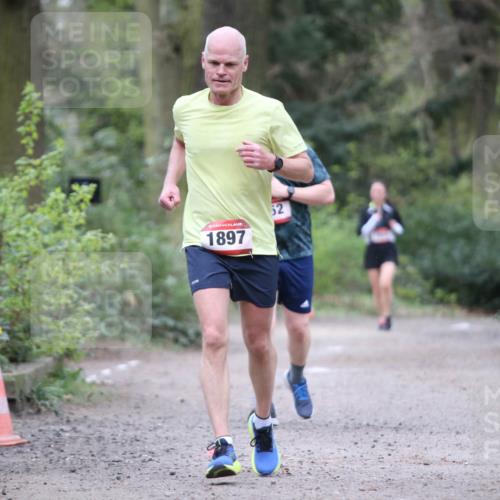 13.04.2025 - Hammer Lauf Jannik Wohlers http://msf.ph/oto/7641681 13.04.2025 12:04:54 Laufen 1897, 52 meine-sportfotos.de