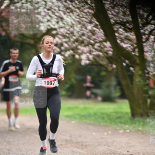 13.04.2025 - Hammer Lauf Dr. Thomas Lammeyer http://msf.ph/oto/7641690 13.04.2025 10:10:36 Laufen 1097 meine-sportfotos.de