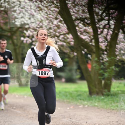 13.04.2025 - Hammer Lauf Dr. Thomas Lammeyer http://msf.ph/oto/7641700 13.04.2025 10:10:37 Laufen 1, 1097 meine-sportfotos.de