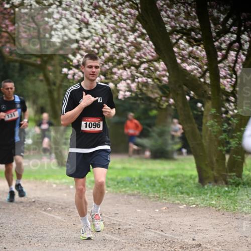 13.04.2025 - Hammer Lauf Dr. Thomas Lammeyer http://msf.ph/oto/7641722 13.04.2025 10:10:39 Laufen 131, 15, 1096 meine-sportfotos.de
