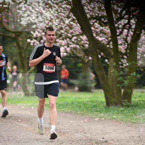 13.04.2025 - Hammer Lauf Dr. Thomas Lammeyer http://msf.ph/oto/7641725 13.04.2025 10:10:39 Laufen 31, 15, 1096 meine-sportfotos.de