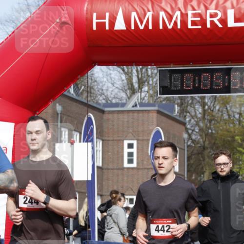 13.04.2025 - Hammer Lauf A. Gomolzig http://msf.ph/oto/7641740 13.04.2025 11:05:55 Ziel 19, 167, 172, 173, 244, 442, 548, 662, 762, 817, 818, 916, 1103, 1208, 1376, 1768, 1939, 1945 meine-sportfotos.de