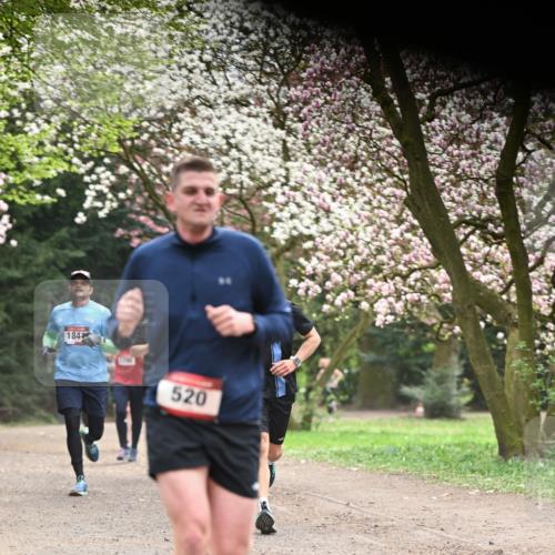 13.04.2025 - Hammer Lauf Dr. Thomas Lammeyer http://msf.ph/oto/7641751 13.04.2025 10:10:41 Laufen 184, 520 meine-sportfotos.de