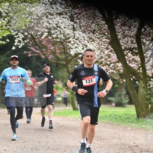 13.04.2025 - Hammer Lauf Dr. Thomas Lammeyer http://msf.ph/oto/7641765 13.04.2025 10:10:42 Laufen 1841, 131 meine-sportfotos.de