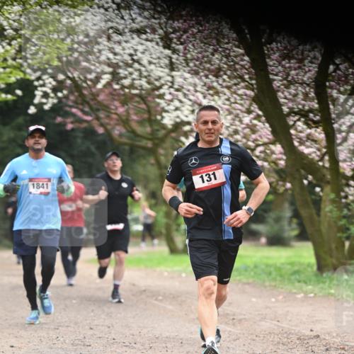 13.04.2025 - Hammer Lauf Dr. Thomas Lammeyer http://msf.ph/oto/7641770 13.04.2025 10:10:42 Laufen 1841, 15, 131 meine-sportfotos.de