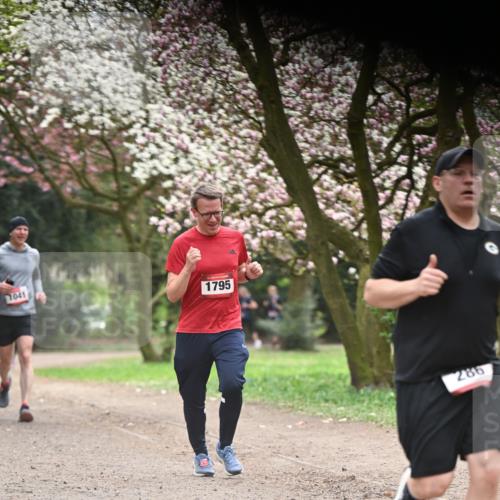 13.04.2025 - Hammer Lauf Dr. Thomas Lammeyer http://msf.ph/oto/7641831 13.04.2025 10:10:46 Laufen 1041, 1795, 286 meine-sportfotos.de