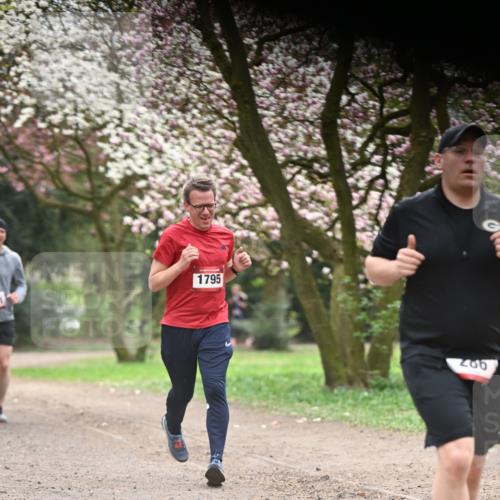 13.04.2025 - Hammer Lauf Dr. Thomas Lammeyer http://msf.ph/oto/7641835 13.04.2025 10:10:46 Laufen 1795, 206 meine-sportfotos.de