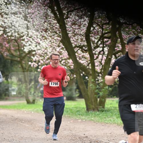 13.04.2025 - Hammer Lauf Dr. Thomas Lammeyer http://msf.ph/oto/7641839 13.04.2025 10:10:46 Laufen 15, 1795, 286 meine-sportfotos.de