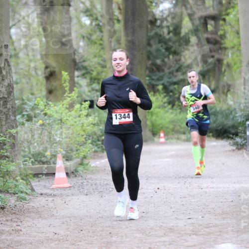 13.04.2025 - Hammer Lauf Jannik Wohlers http://msf.ph/oto/7641886 13.04.2025 12:03:27 Laufen 1344, 340 meine-sportfotos.de