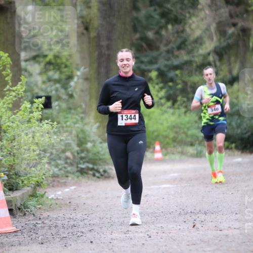 13.04.2025 - Hammer Lauf Jannik Wohlers http://msf.ph/oto/7641892 13.04.2025 12:03:25 Laufen 15, 1344, 340 meine-sportfotos.de