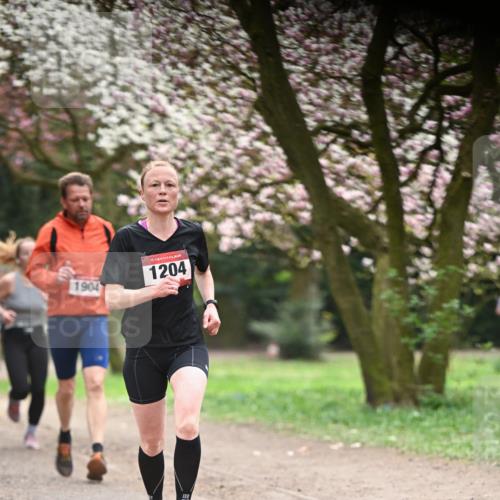 13.04.2025 - Hammer Lauf Dr. Thomas Lammeyer http://msf.ph/oto/7641915 13.04.2025 10:10:55 Laufen 1904, 15, 1204 meine-sportfotos.de