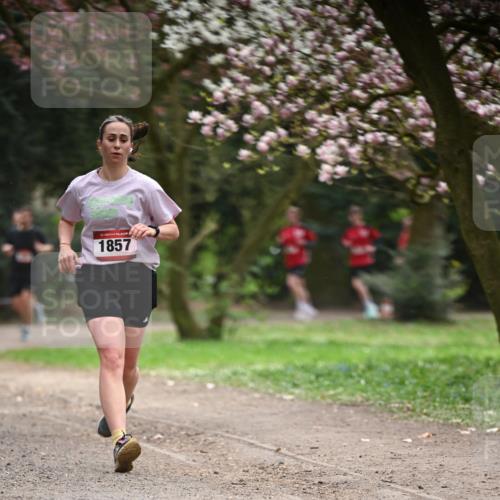 13.04.2025 - Hammer Lauf Dr. Thomas Lammeyer http://msf.ph/oto/7642138 13.04.2025 10:11:13 Laufen 1857 meine-sportfotos.de
