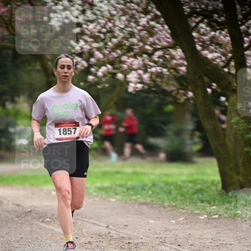 13.04.2025 - Hammer Lauf Dr. Thomas Lammeyer http://msf.ph/oto/7642160 13.04.2025 10:11:14 Laufen 15, 1857 meine-sportfotos.de
