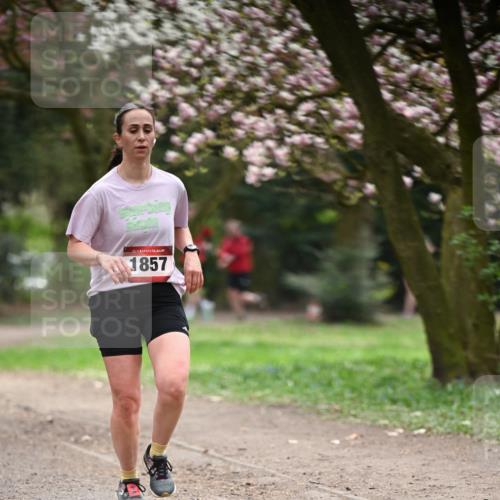 13.04.2025 - Hammer Lauf Dr. Thomas Lammeyer http://msf.ph/oto/7642165 13.04.2025 10:11:14 Laufen 15, 1857 meine-sportfotos.de