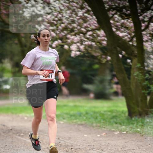 13.04.2025 - Hammer Lauf Dr. Thomas Lammeyer http://msf.ph/oto/7642169 13.04.2025 10:11:14 Laufen 57 meine-sportfotos.de