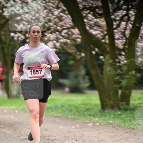 13.04.2025 - Hammer Lauf Dr. Thomas Lammeyer http://msf.ph/oto/7642179 13.04.2025 10:11:15 Laufen 15, 1857 meine-sportfotos.de