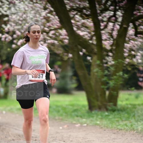 13.04.2025 - Hammer Lauf Dr. Thomas Lammeyer http://msf.ph/oto/7642184 13.04.2025 10:11:15 Laufen 57 meine-sportfotos.de