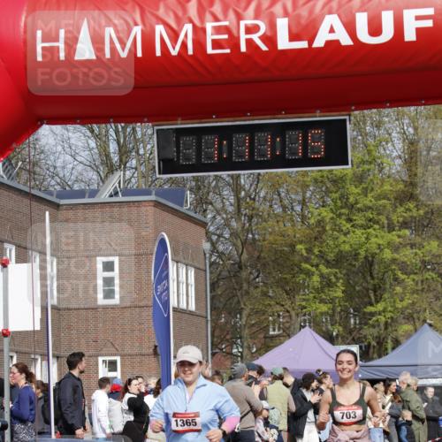 13.04.2025 - Hammer Lauf A. Gomolzig http://msf.ph/oto/7642722 13.04.2025 10:57:15 Ziel 281, 409, 703, 1131, 1365 meine-sportfotos.de