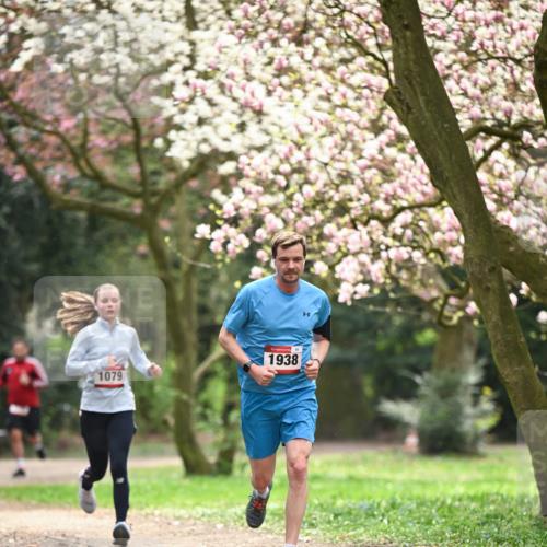 13.04.2025 - Hammer Lauf Dr. Thomas Lammeyer http://msf.ph/oto/7642798 13.04.2025 10:12:17 Laufen 1938, 1079 meine-sportfotos.de