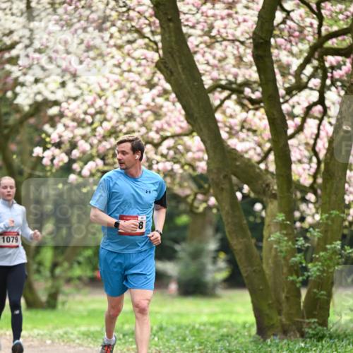 13.04.2025 - Hammer Lauf Dr. Thomas Lammeyer http://msf.ph/oto/7642814 13.04.2025 10:12:18 Laufen 1079, 15, 85 meine-sportfotos.de