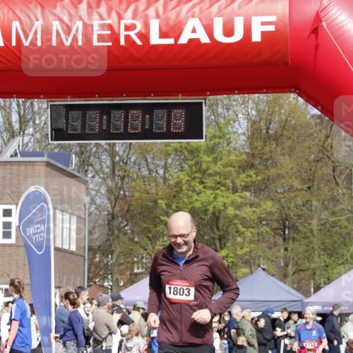 13.04.2025 - Hammer Lauf A. Gomolzig http://msf.ph/oto/7642829 13.04.2025 10:56:17 Ziel 1142, 1734, 1803 meine-sportfotos.de