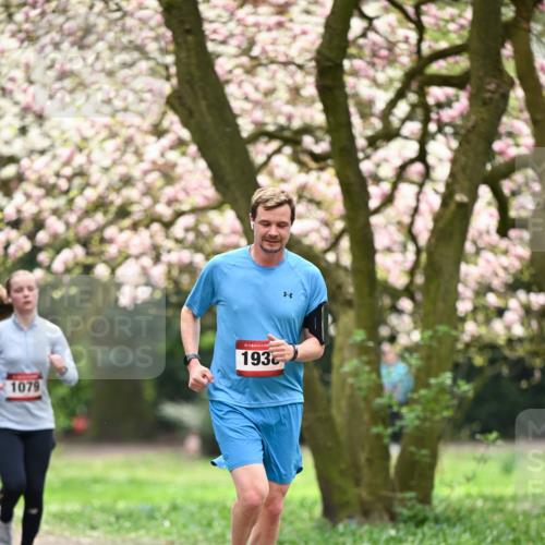 13.04.2025 - Hammer Lauf Dr. Thomas Lammeyer http://msf.ph/oto/7642840 13.04.2025 10:12:19 Laufen 1079, 15, 193 meine-sportfotos.de