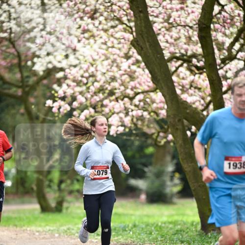 13.04.2025 - Hammer Lauf Dr. Thomas Lammeyer http://msf.ph/oto/7642848 13.04.2025 10:12:20 Laufen 15, 079, 1938 meine-sportfotos.de