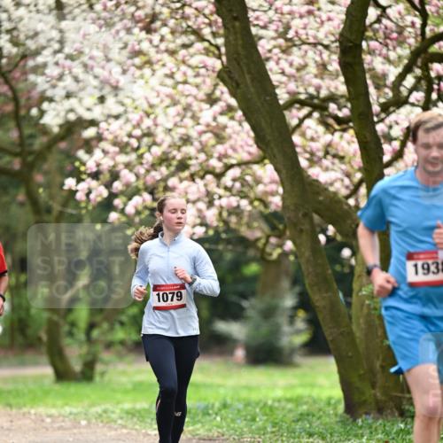 13.04.2025 - Hammer Lauf Dr. Thomas Lammeyer http://msf.ph/oto/7642853 13.04.2025 10:12:20 Laufen 1079, 1938 meine-sportfotos.de