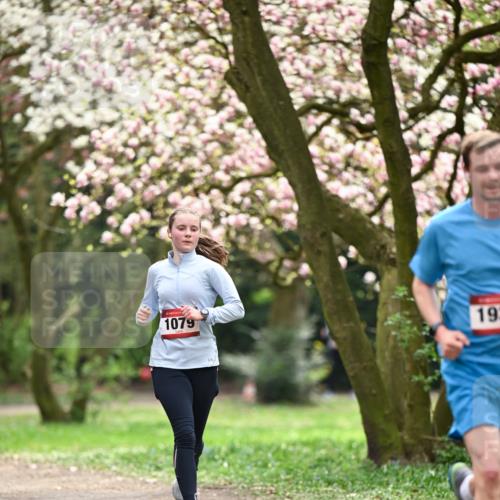13.04.2025 - Hammer Lauf Dr. Thomas Lammeyer http://msf.ph/oto/7642856 13.04.2025 10:12:20 Laufen 1079, 19 meine-sportfotos.de