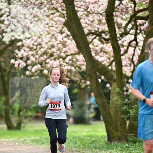 13.04.2025 - Hammer Lauf Dr. Thomas Lammeyer http://msf.ph/oto/7642860 13.04.2025 10:12:20 Laufen 1079 meine-sportfotos.de