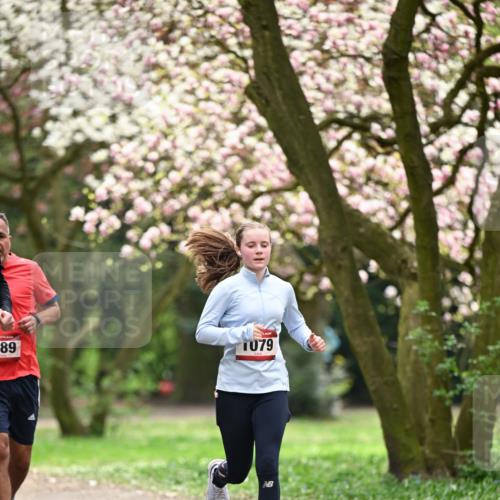 13.04.2025 - Hammer Lauf Dr. Thomas Lammeyer http://msf.ph/oto/7642867 13.04.2025 10:12:20 Laufen 89, 079 meine-sportfotos.de