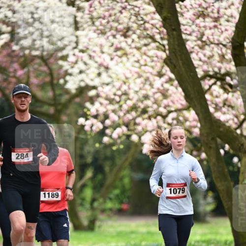 13.04.2025 - Hammer Lauf Dr. Thomas Lammeyer http://msf.ph/oto/7642871 13.04.2025 10:12:20 Laufen 15, 284, 20, 15, 1189, 15, 1079 meine-sportfotos.de